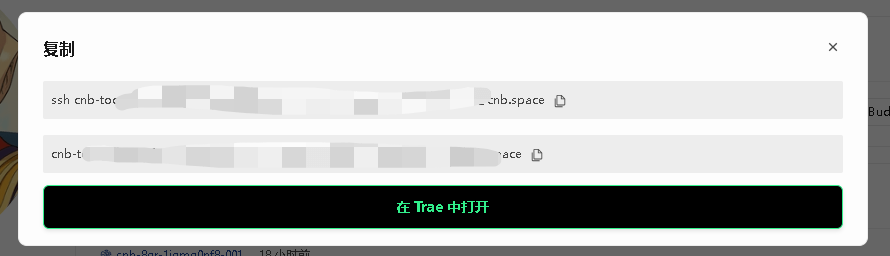 CNB Trae 连接助手 预览图